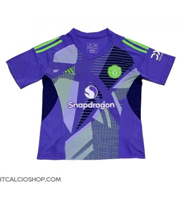 Manchester United Portiere Prima Maglia 2024-25 Manica Corta